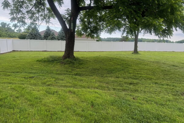 Fence Pic 2