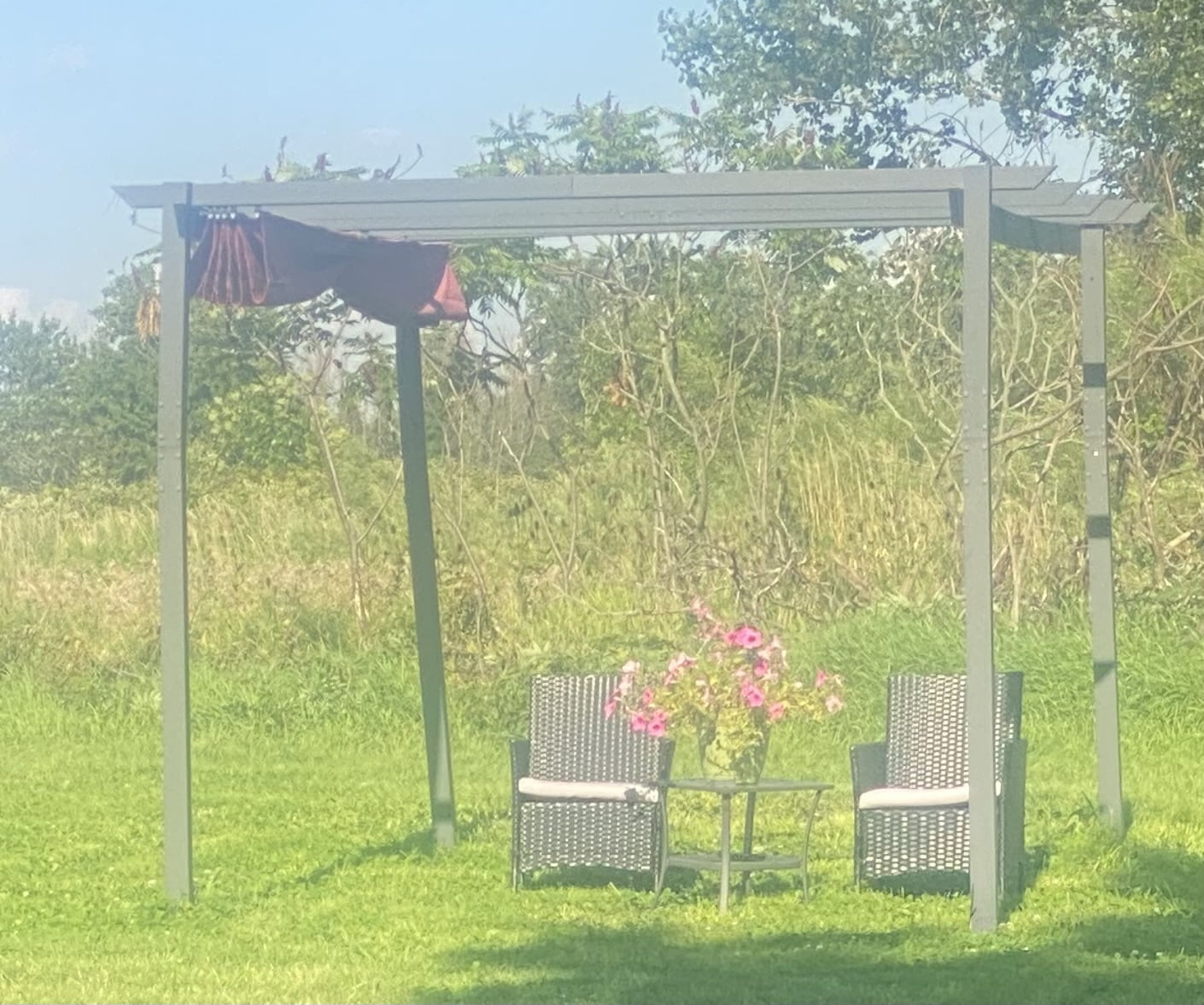 A pergola with two cushioned chairs and a table, set on a grassy lawn with trees in the background - Pet Euthanasia A pergola with two cushioned chairs and a table, set on a grassy lawn with trees in the background - Pet Euthanasia